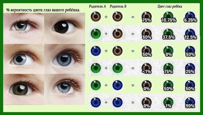 В каком возрасте меняется цвет глаз у ребёнка